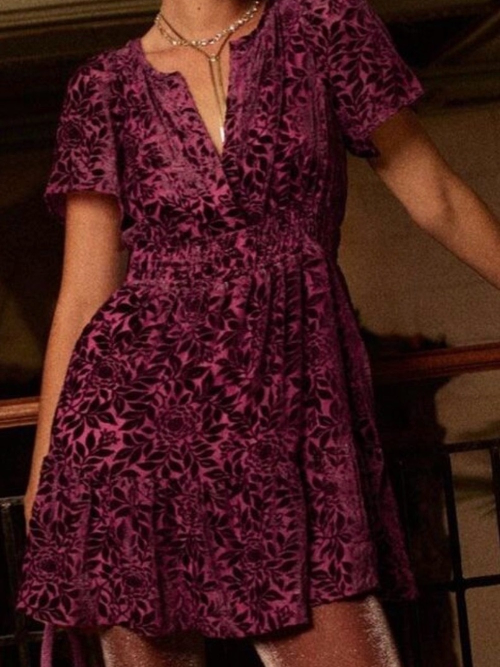 Anthropologie Somerset Plum Velvet Floral Mini Dress